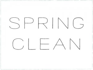 spring clean services